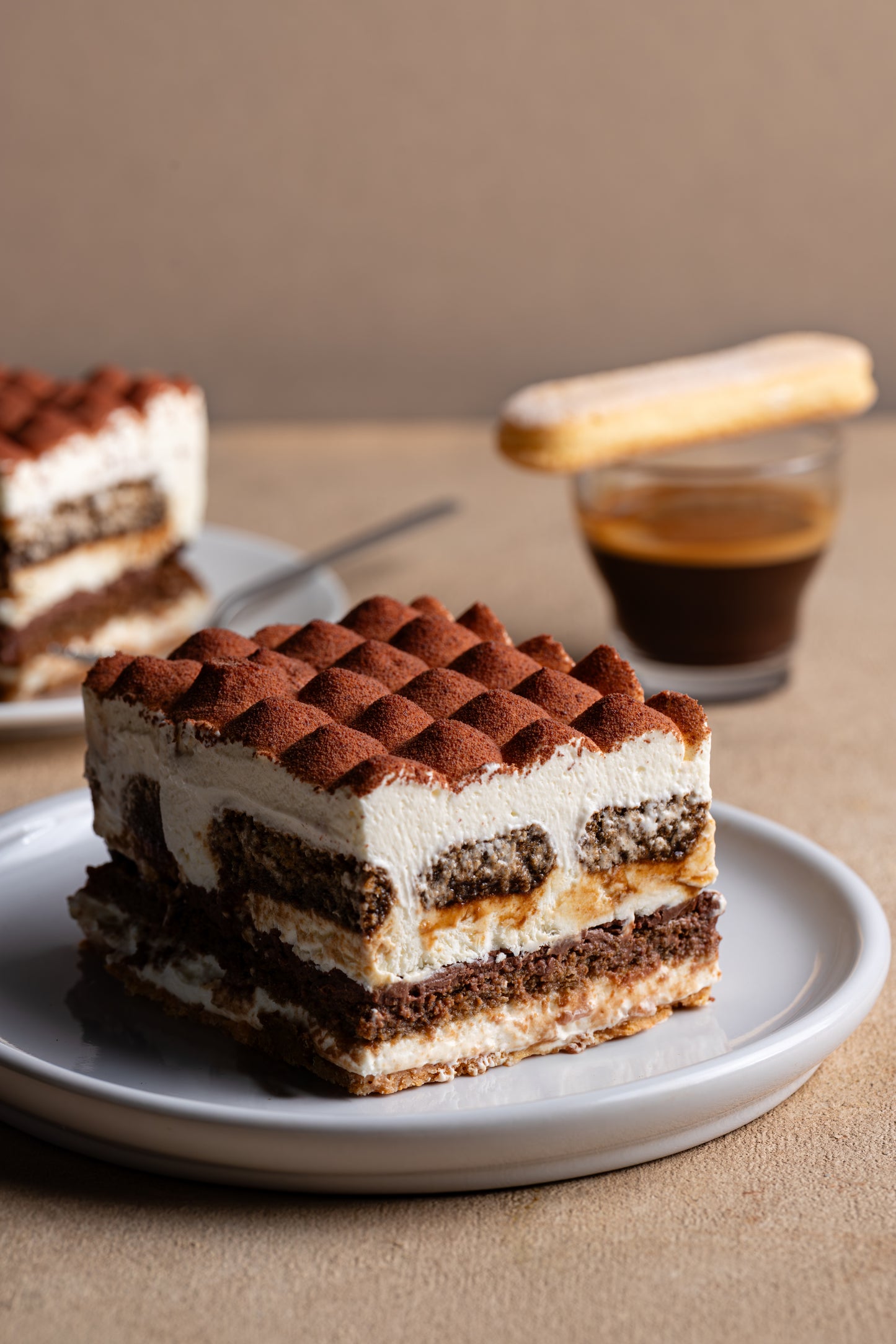 Tiramisu Piece